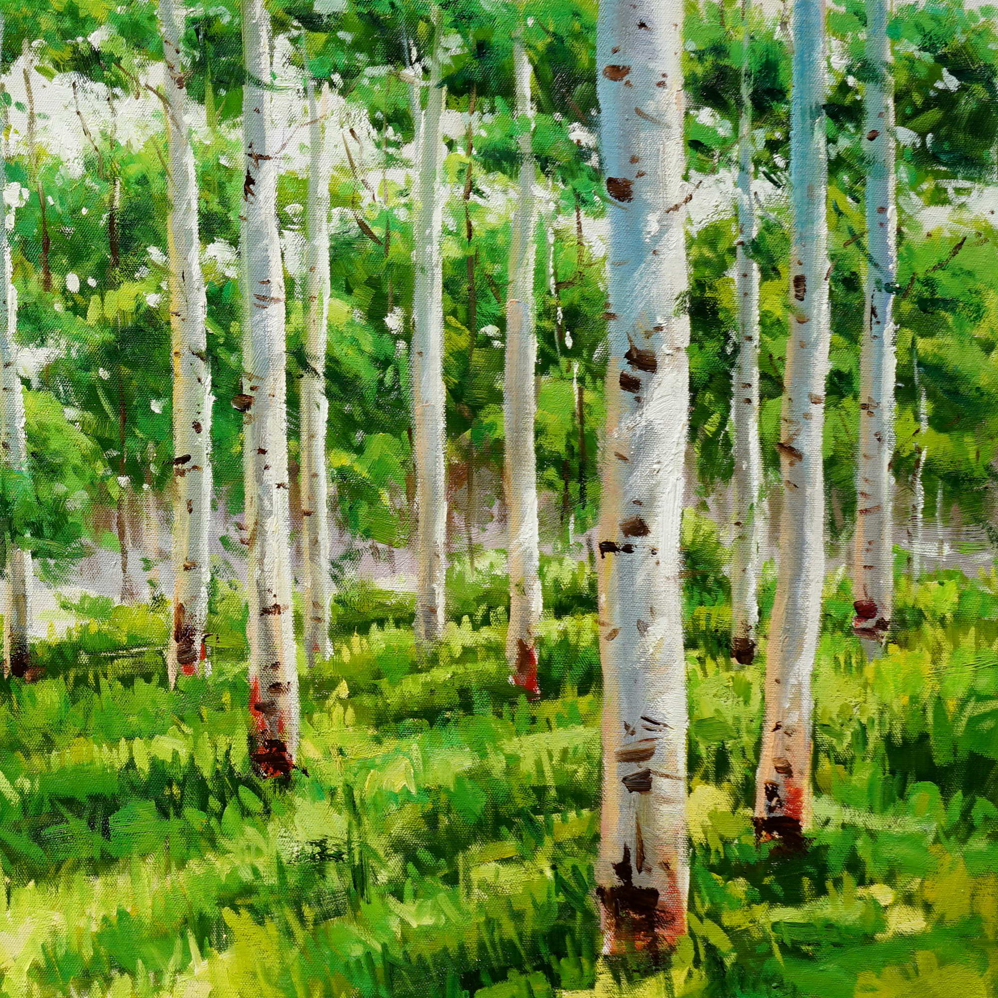 Hand painted Birches in the forest 75x150cm