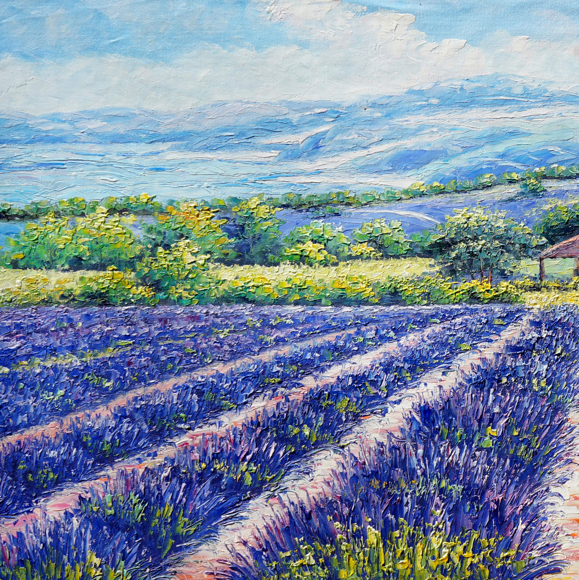 Hand painted Lavender fields 60x120cm