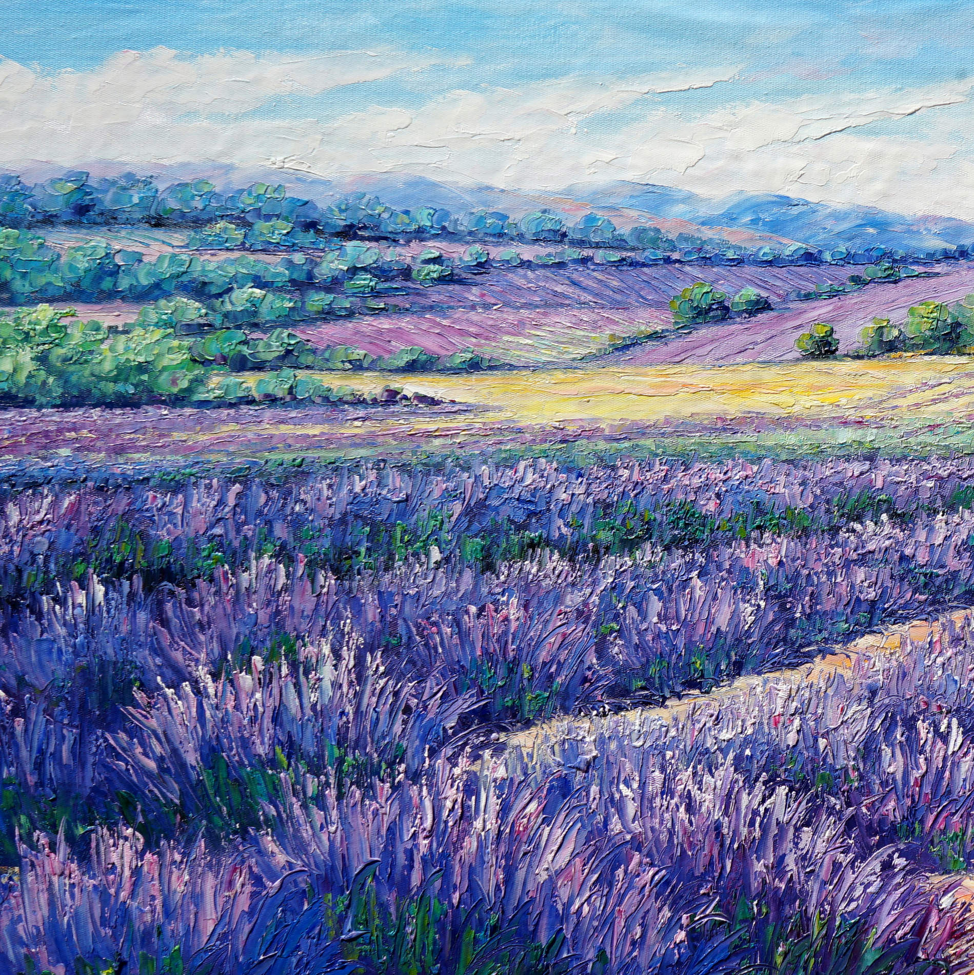 Hand painted Lavender Fields 60x120cm