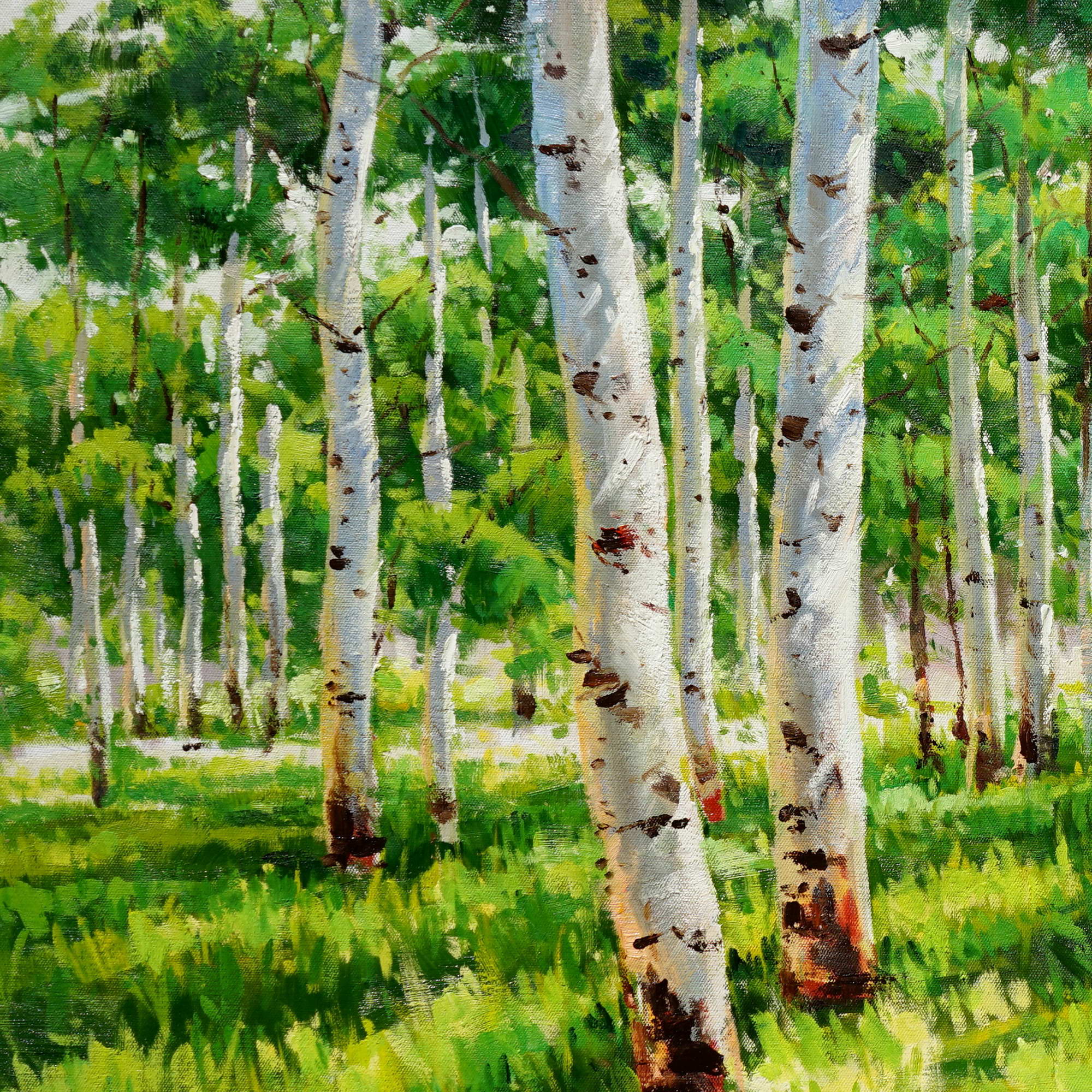 Bouleaux peints à la main dans la forêt 75x150cm