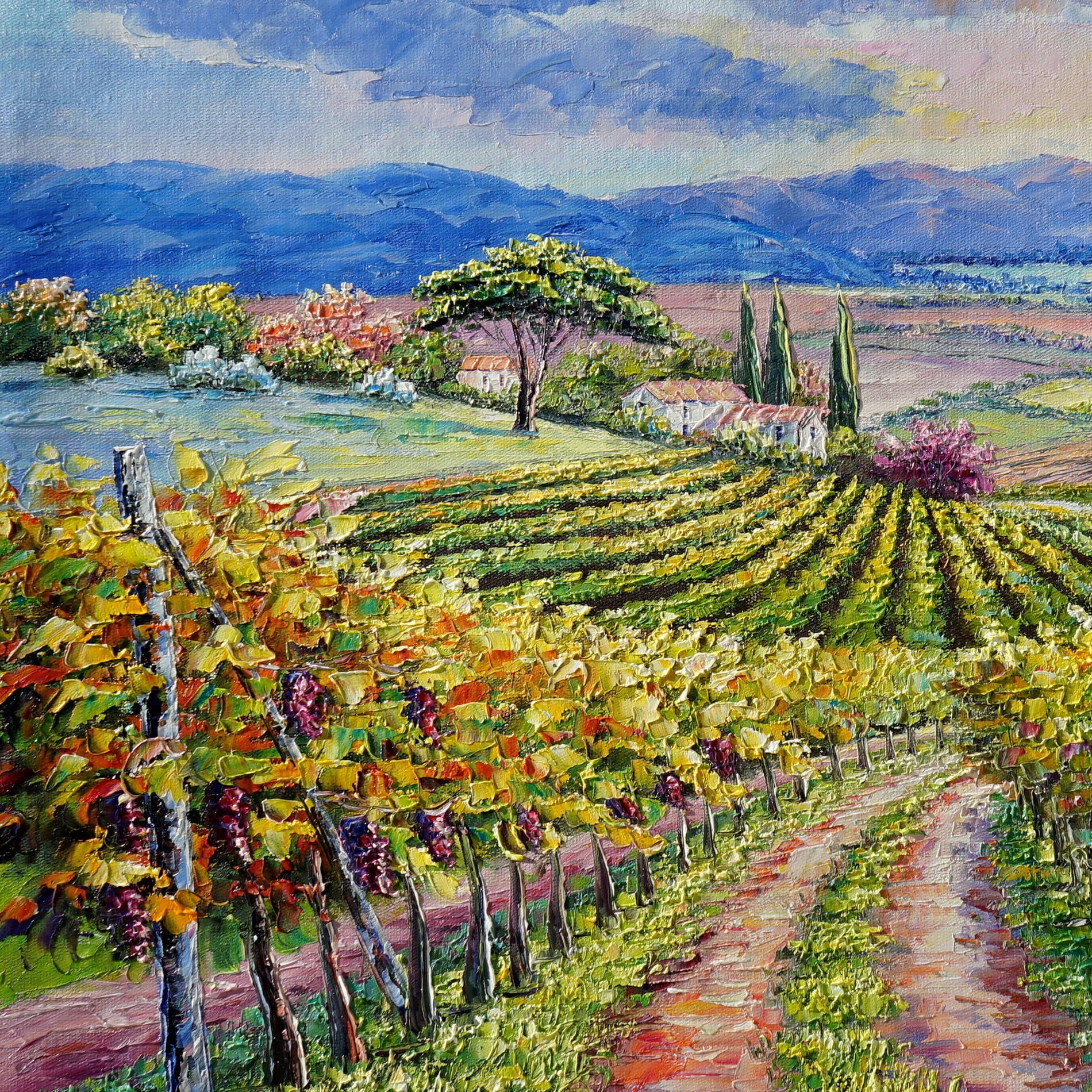 Quadro di un paesaggio con vigne e un sentiero